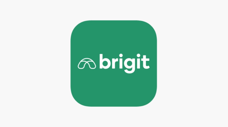 Brigit Review - Best Loan App